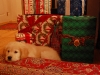20081222 Christmas 151